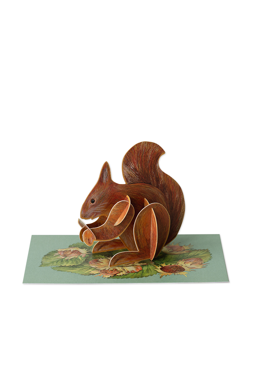 Notecard Pop-out Red Squirrel