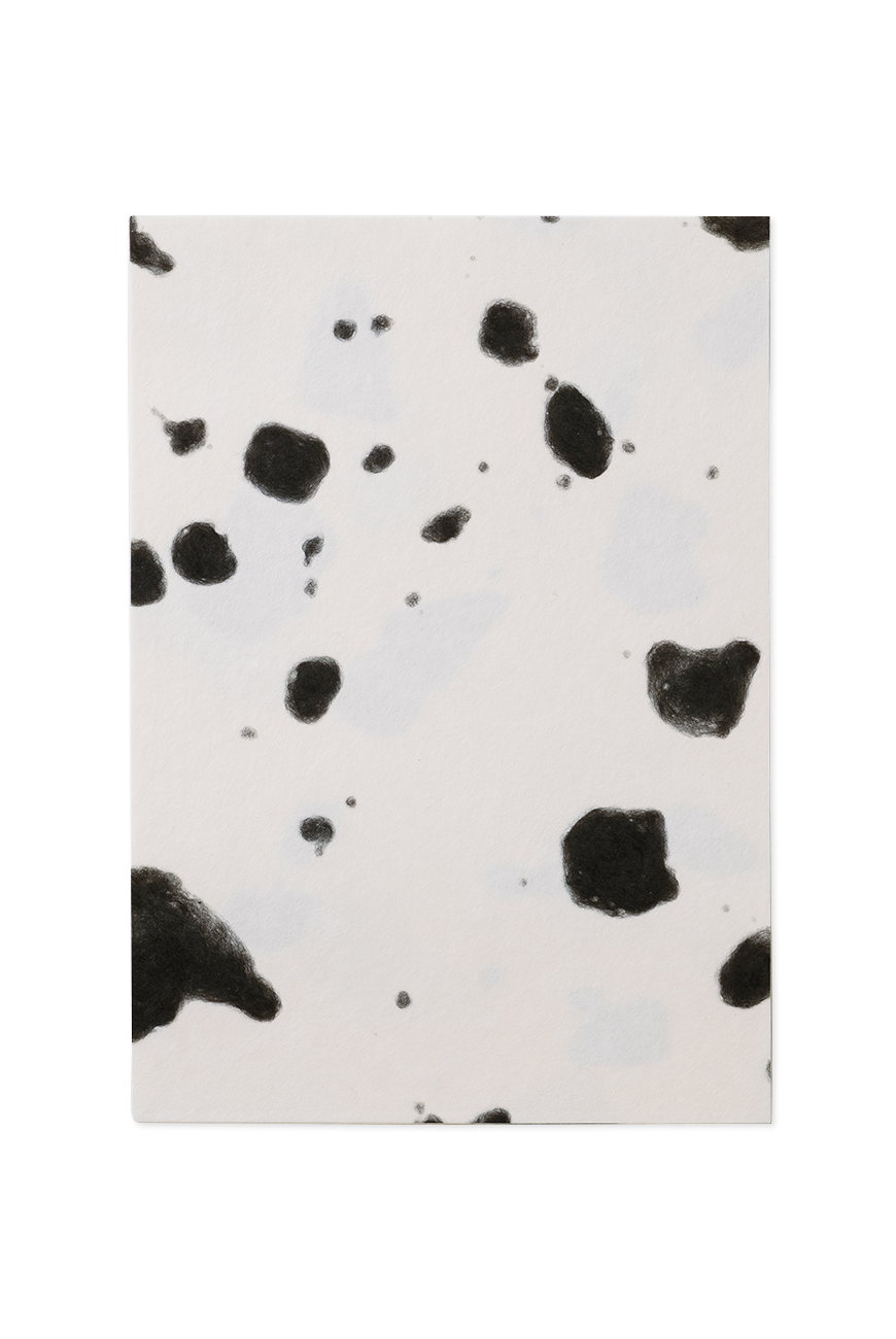Fusuma Washi Paper A5 - Black Dot
