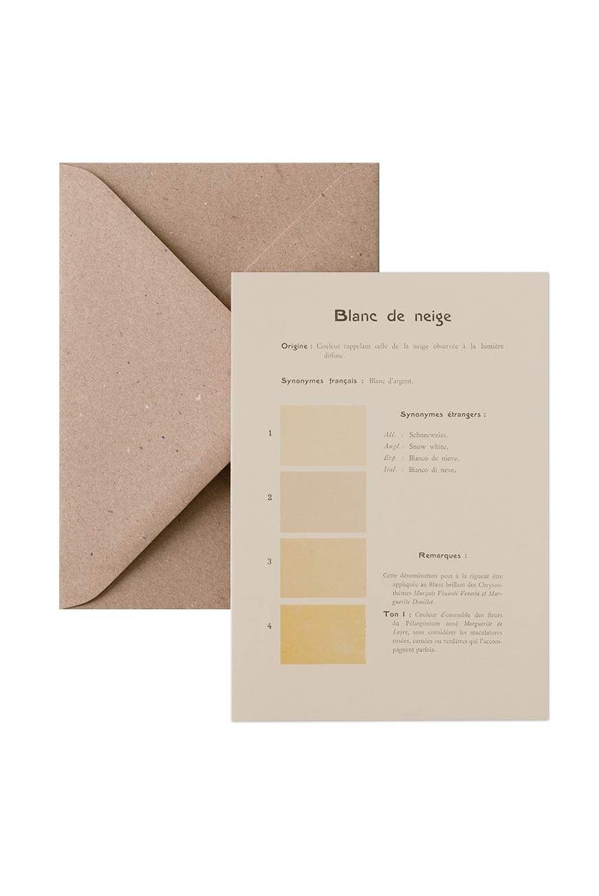 Card &amp; Envelope - Blanc de Neige