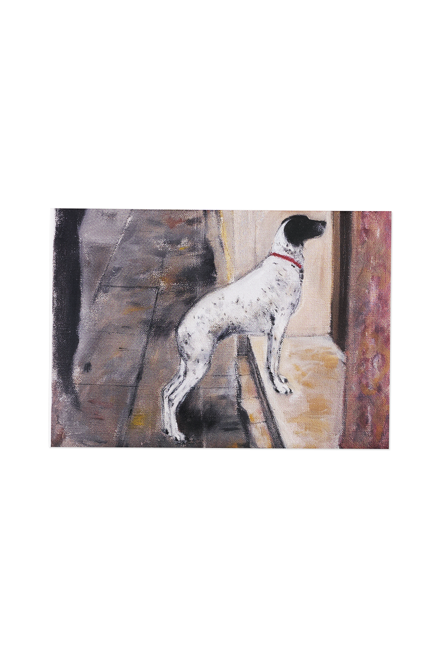 Greeting Card Elizabeth Blackadder - Venetian Dog, 2008
